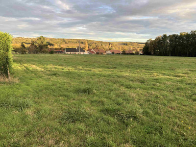 Terrain à batir 3500M2 - Escamps (Yonne)